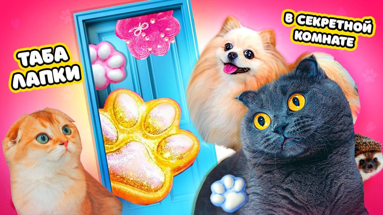 Секретная КОМНАТА с ТАБА ЛАПКАМИ | Питомцы НАШЛИ ЕЕ смотреть онлайн