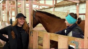 РЫЖИЙ ФЕРМЕР СКРЫВАЕТ СВОИХ РАБОТНИКОВ!  Кто на самом деле трудится на ферме