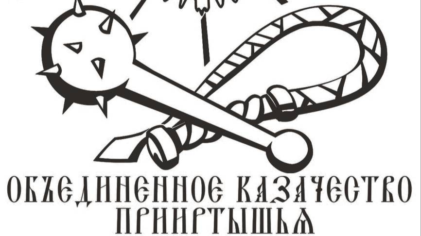 В защиту Шаманова