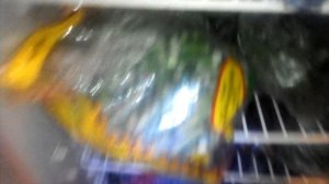 Наш помощник - Морозильник...