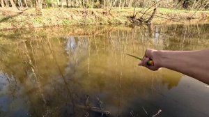 Микрофишинг на Микро-речке. Рыбалка на тесто.