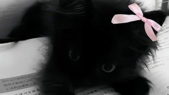 05-10-2025 смотреть онлайн