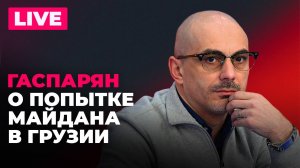 Провал грузиинской оппозиции,  победа евроскептиков в Чехии, бусификация кота на Украине