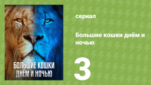 Большие кошки днём и ночью 3 серия (документальный сериал, 2024)