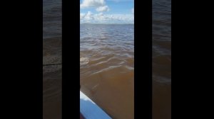 рыбалка в Приобье 28.08-31.08 2025.mp4