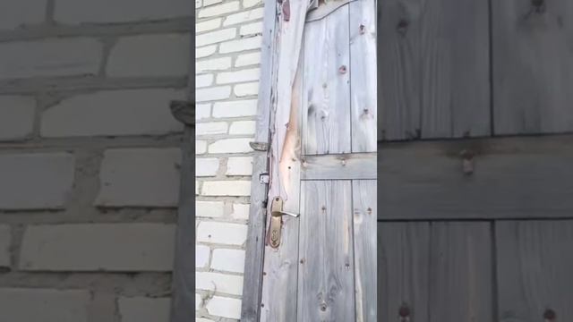 выполнЕм задания смотреть онлайн