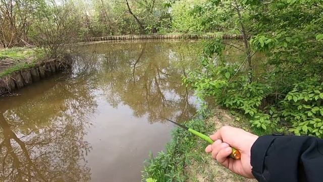 Ловля Карася На Поплавок На Микро-Речке Весной. смотреть онлайн