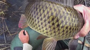 Рыбалка на узункуле