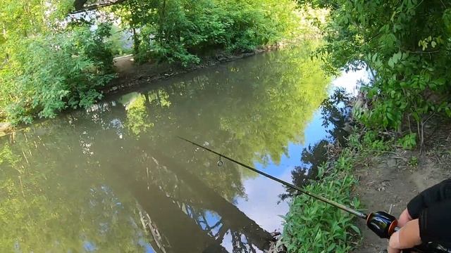 ЯУЗА.ТРОФЕЙНЫЙ ЛЕЩ!!!#мормышинг #мормоны смотреть онлайн