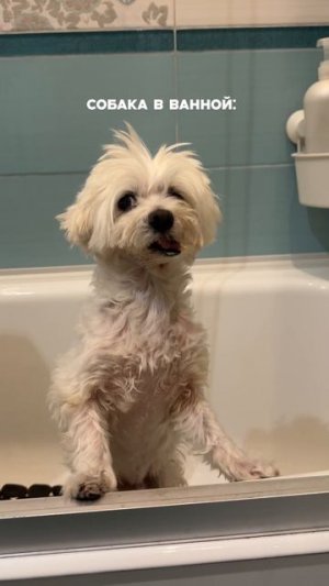 Праздничные дни