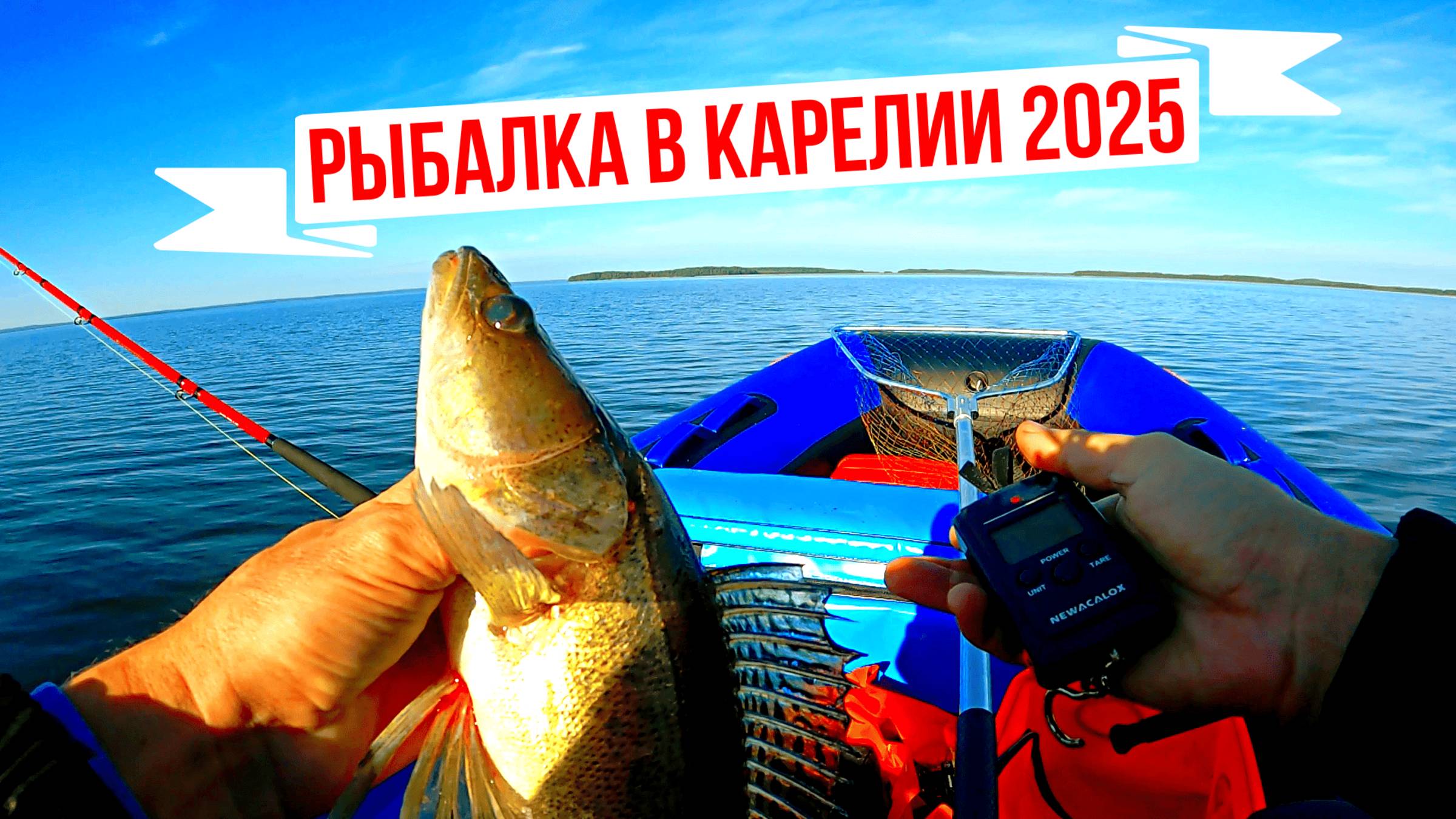 Ловля судака на воблеры осенью 2025, Сказочная Карелия смотреть онлайн