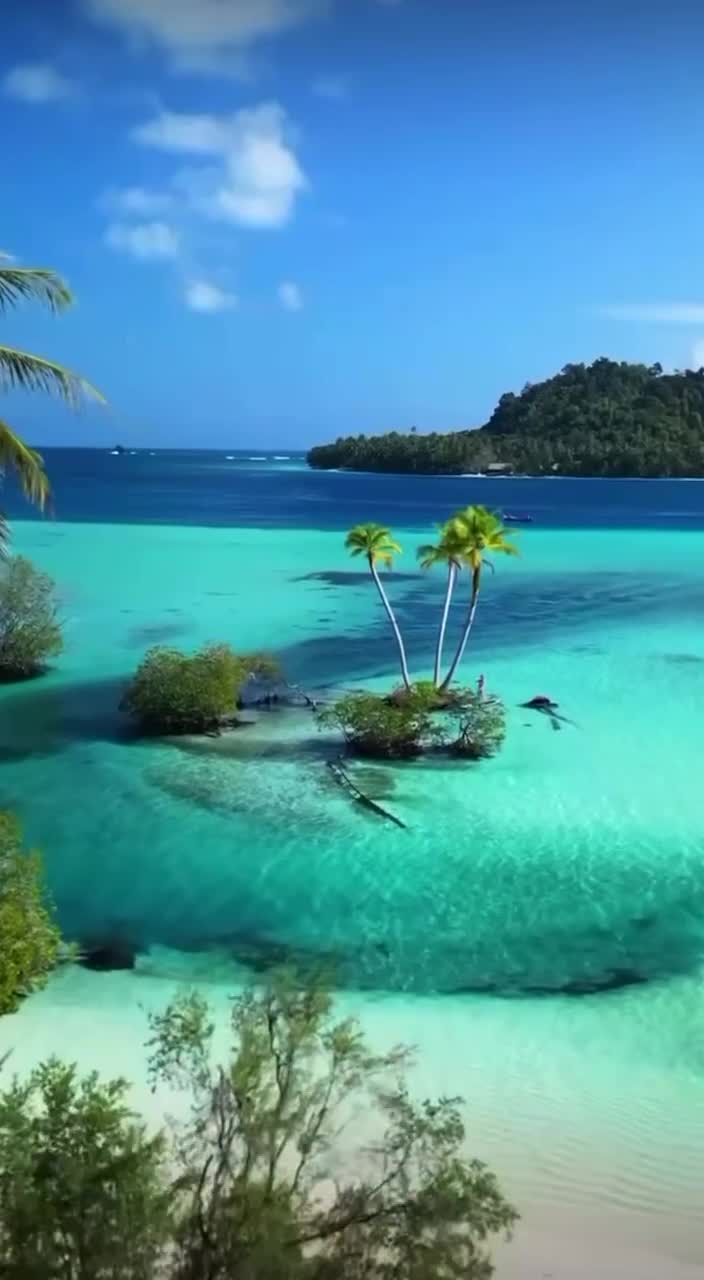 Группа островов Ментавай отделилась от материнского Зондского шельфа и вытянулась вдоль западного... смотреть онлайн