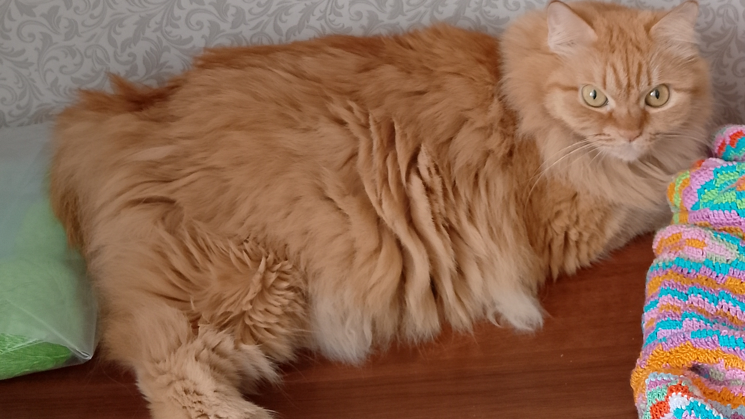 Тэг Рукоделие и я. Ответы на вопросы