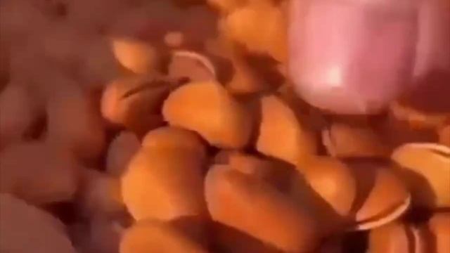 сибирское здоровье  Https://clck.ru/3Pa3pM