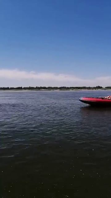 катамаран звезда360 тояма9.9 против ротан410 Тохатсу18