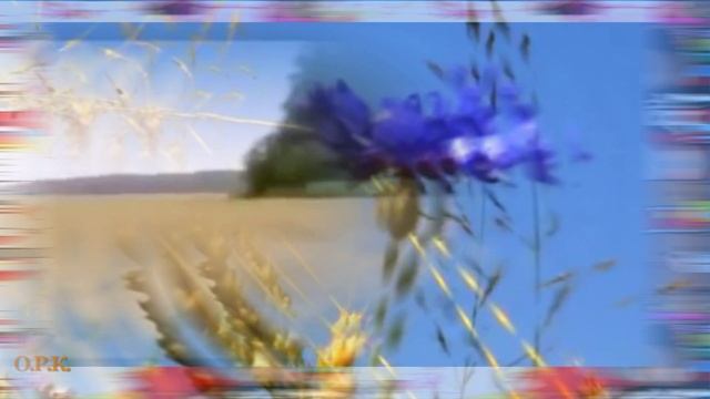 МНЕ СЕГОДНЯ ВЗГРУСТНУЛОСЬ