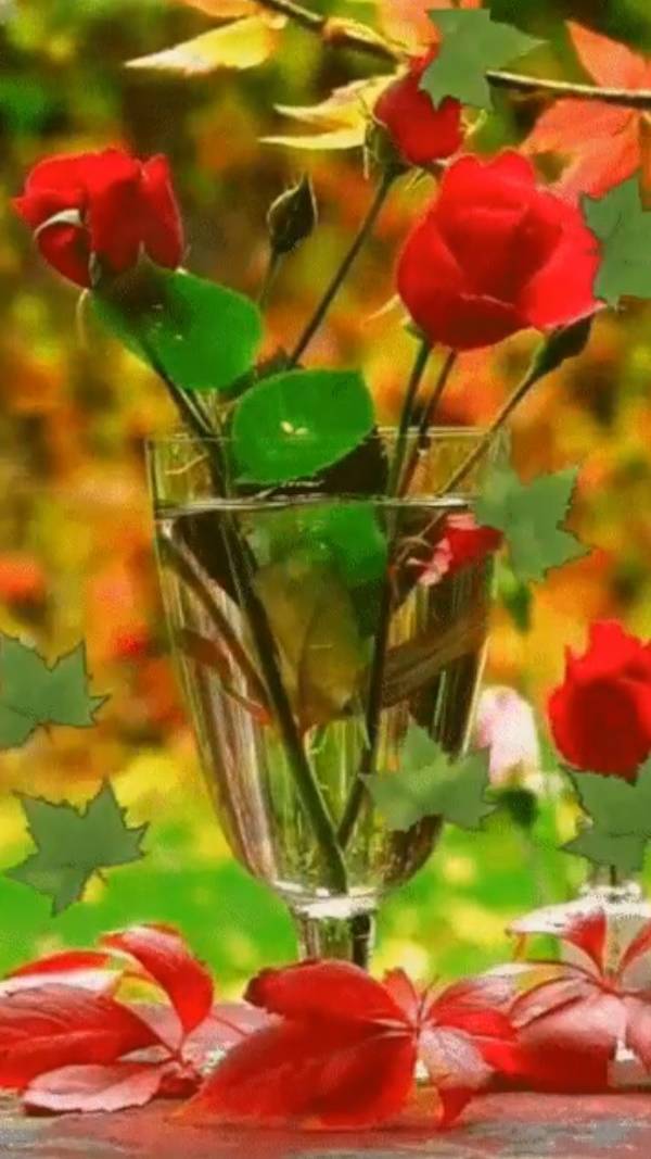 Если вам ... смотреть онлайн