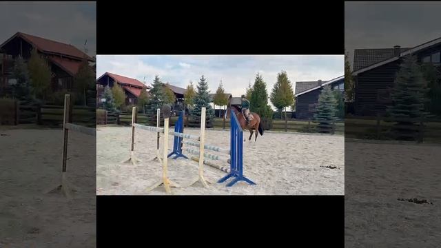 Quick Fire Van De Fruitkorf