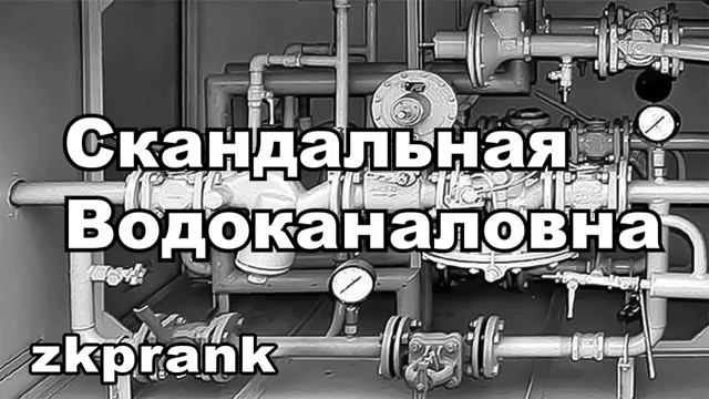 Пранк ЖКХ СКАНДАЛЬНАЯ ВОДОКАНАЛОВНА смотреть онлайн