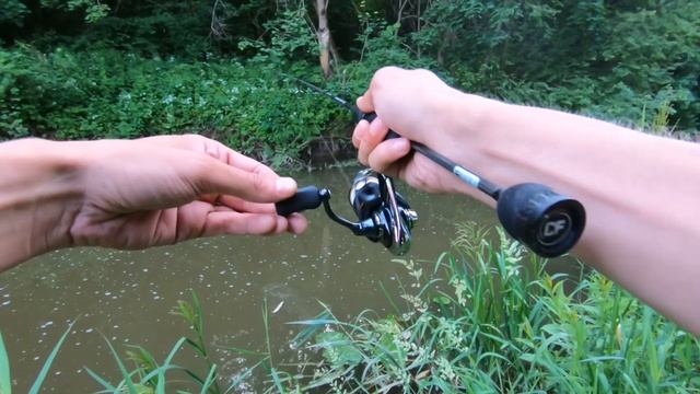 Воскресный Нимфинг на Сходне.#мормышинг #fishing #наноджиг смотреть онлайн