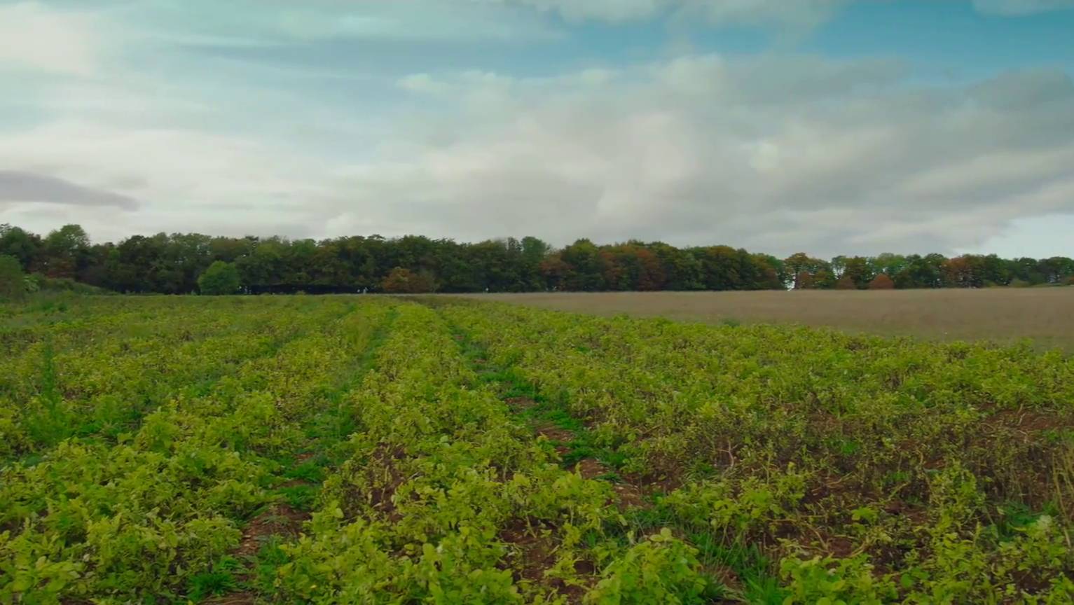 "Ферма Кларксона", 1.03 (AlexFilm) смотреть онлайн