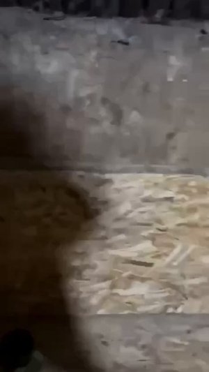 Целый мир под землей.