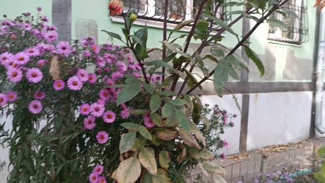 *Я ЖИВУ СЕГОДНЯ, НЕ ВЧЕРА* Новинка. 2025.Надо стараться здесь и сечас, получять лучшие моменты. смотреть онлайн