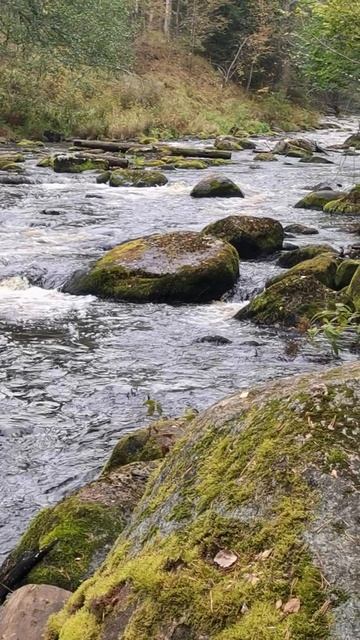 Пороги Карельской реки. смотреть онлайн