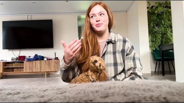 ШОКИРУЮЩИЕ ДЕРЕВЕНСКИЕ НОВОСТИ ОТ РЫЖЕГО ФЕРМЕРА