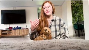 ШОКИРУЮЩИЕ ДЕРЕВЕНСКИЕ НОВОСТИ ОТ РЫЖЕГО ФЕРМЕРА