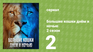 Большие кошки днём и ночью 2 сезон 2 серия «Под осадой» (документальный сериал, 2025)