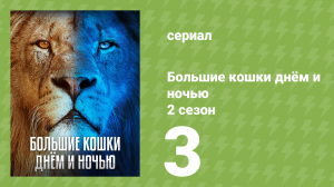 Большие кошки днём и ночью 2 сезон 3 серия «Разделённый прайд» (документальный сериал, 2025)