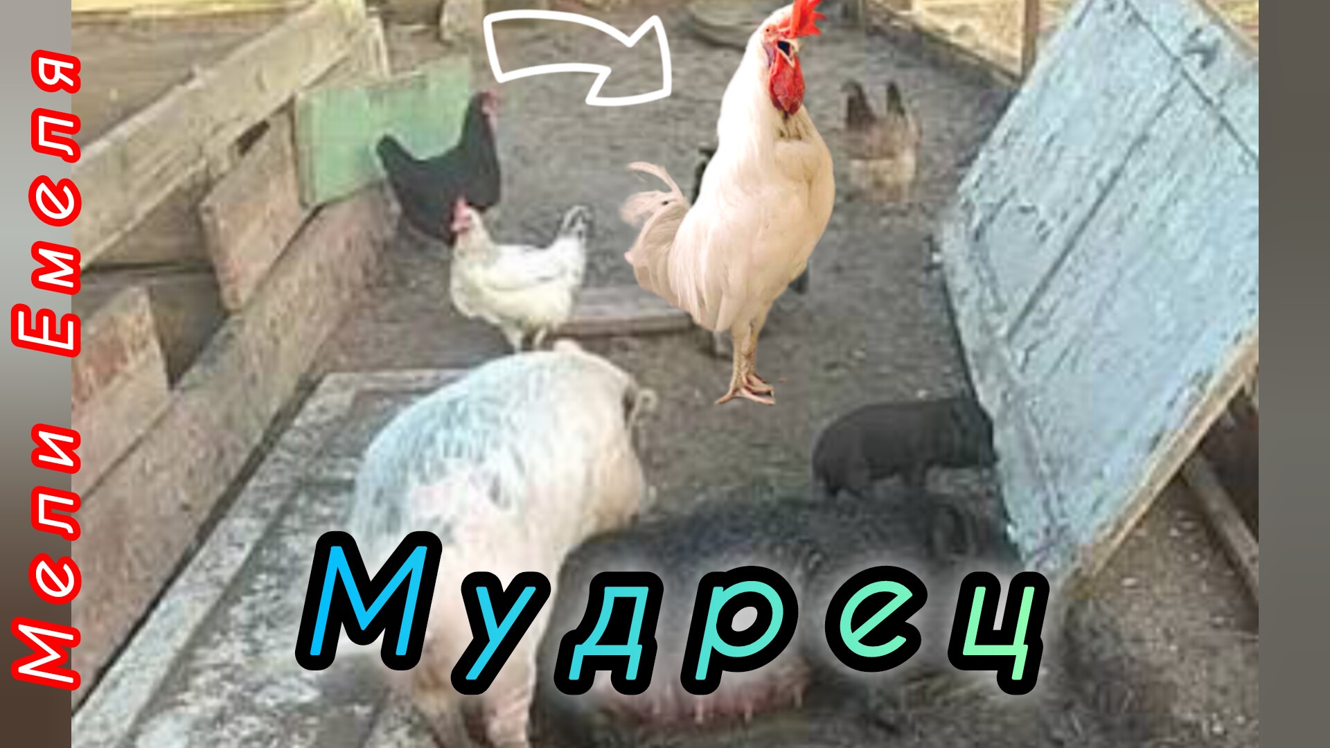 "МУДРЕЦ" А. Толстой /аудиосказка/ смотреть онлайн