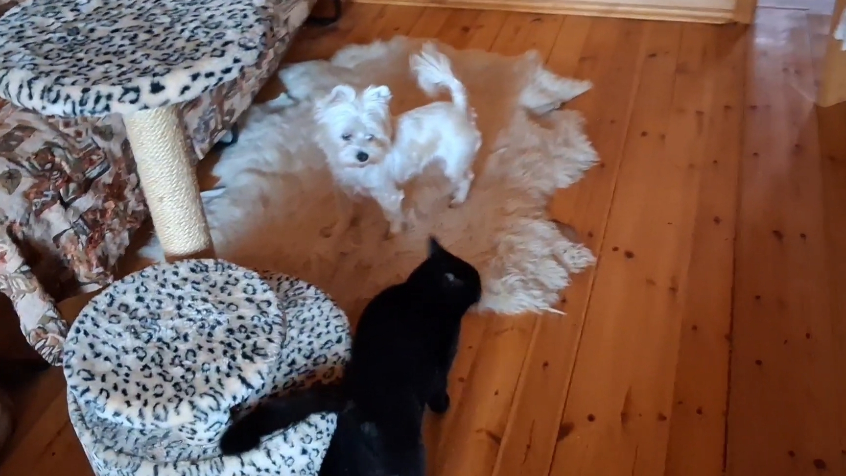 У нас веселуха... смотреть онлайн