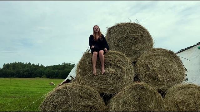 ЗАРАБОТОК НА СЕНЕ В ЦИФРАХ - СКОЛЬКО СОБРАЛИ, ОСТАВИЛИ СЕБЕ, СКОЛЬКО ПРОДАДИМ