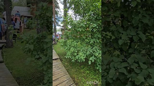 "Вертолетка"- смотровая площадка в Самарской области. Церковь без единого гвоздя. смотреть онлайн