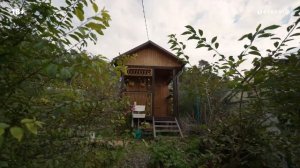 Лариса Новикова - Первоуральск | Победитель Проще, чем дважды два | Выигрыш - 895 988 руб | Столото