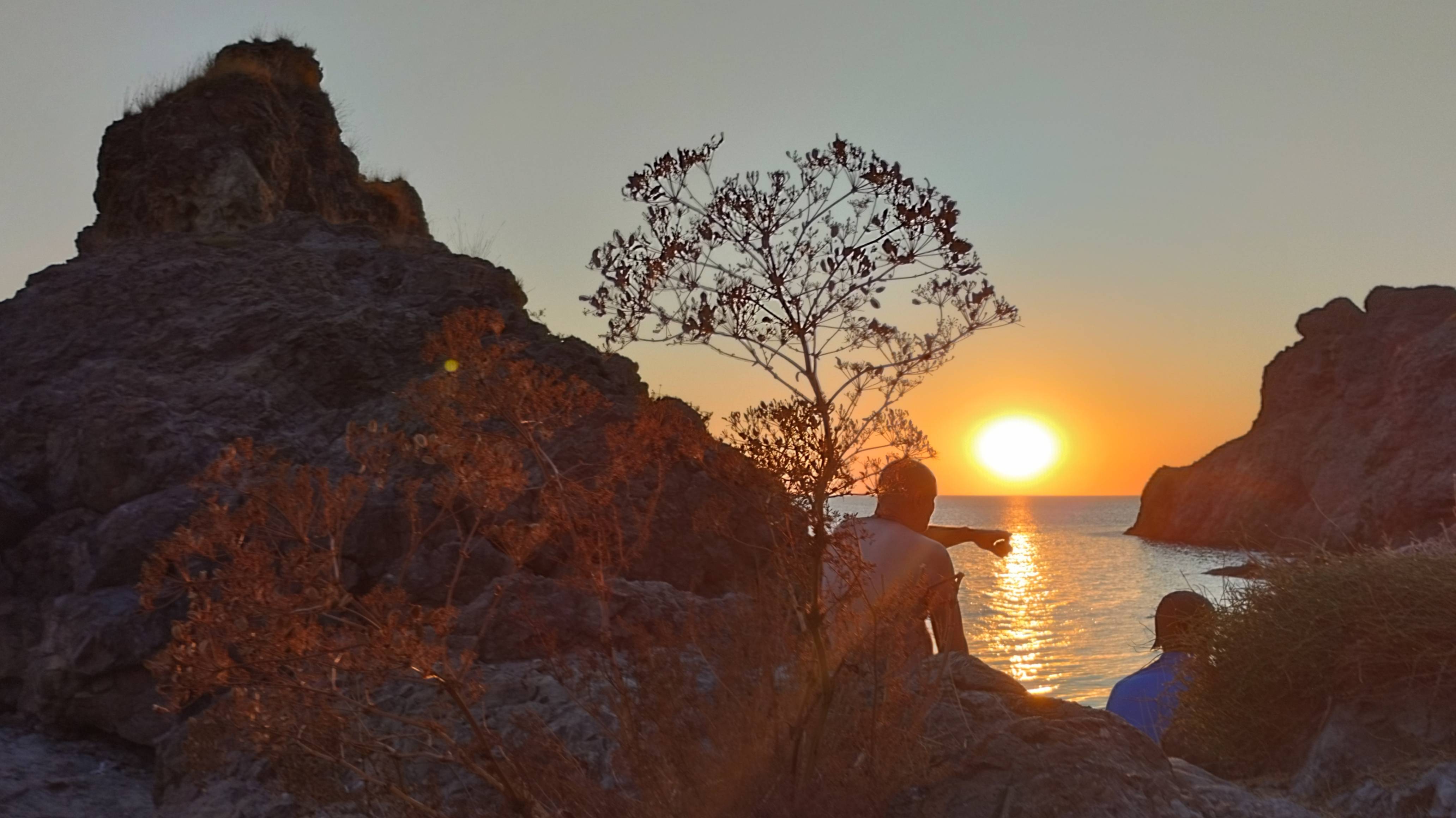 Домой смотреть онлайн