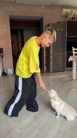 дрессировать 💪