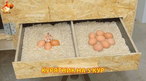 Маленький курятник на 5 кур своими руками пошагово как сделать 🥚🪚🔨🪛