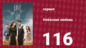 Небесная любовь 116 серия (сериал, 2010)