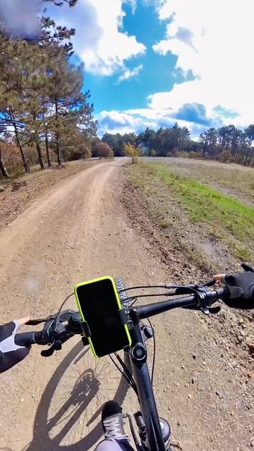 Веловолна 2025/2