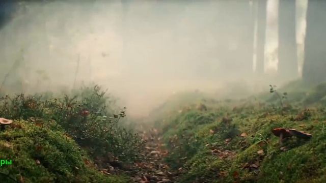 Маша и Медведи. Фильм 2025. Трейлер фильма. смотреть онлайн