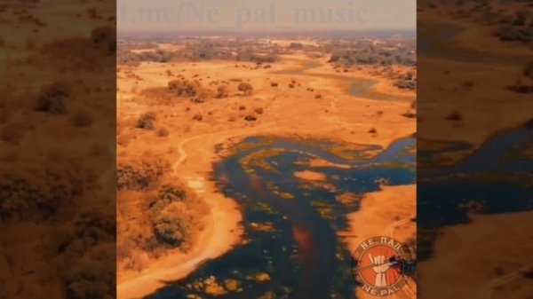 Не_пал - Russian Safari🤙🏻🏝️💀