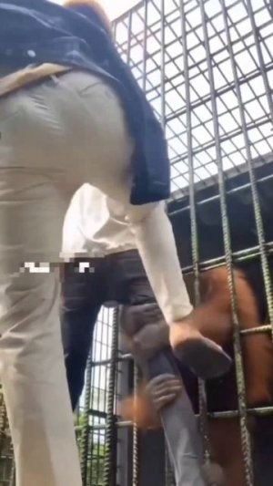 Придумайте название видео😅 Подписываемся 😉