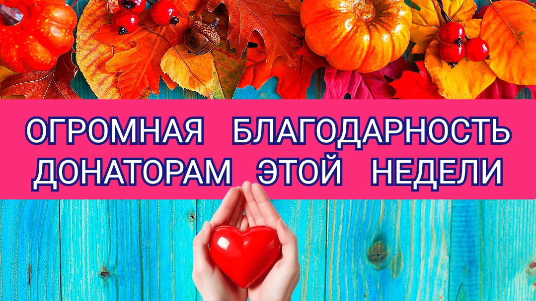 ОГРОМНАЯ БЛАГОДАРНОСТЬ ДОНАТОРАМ ЭТОЙ  НЕДЕЛИ!!!