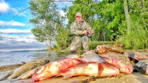 ОСЕННИЙ ЖОР! САЗАН, КАРАСЬ, ЛЕЩ... Рыбалка с ночевкой на фидер...