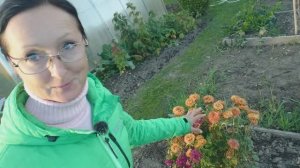 Видео привет с 6 соток  30 сентября 2025 года