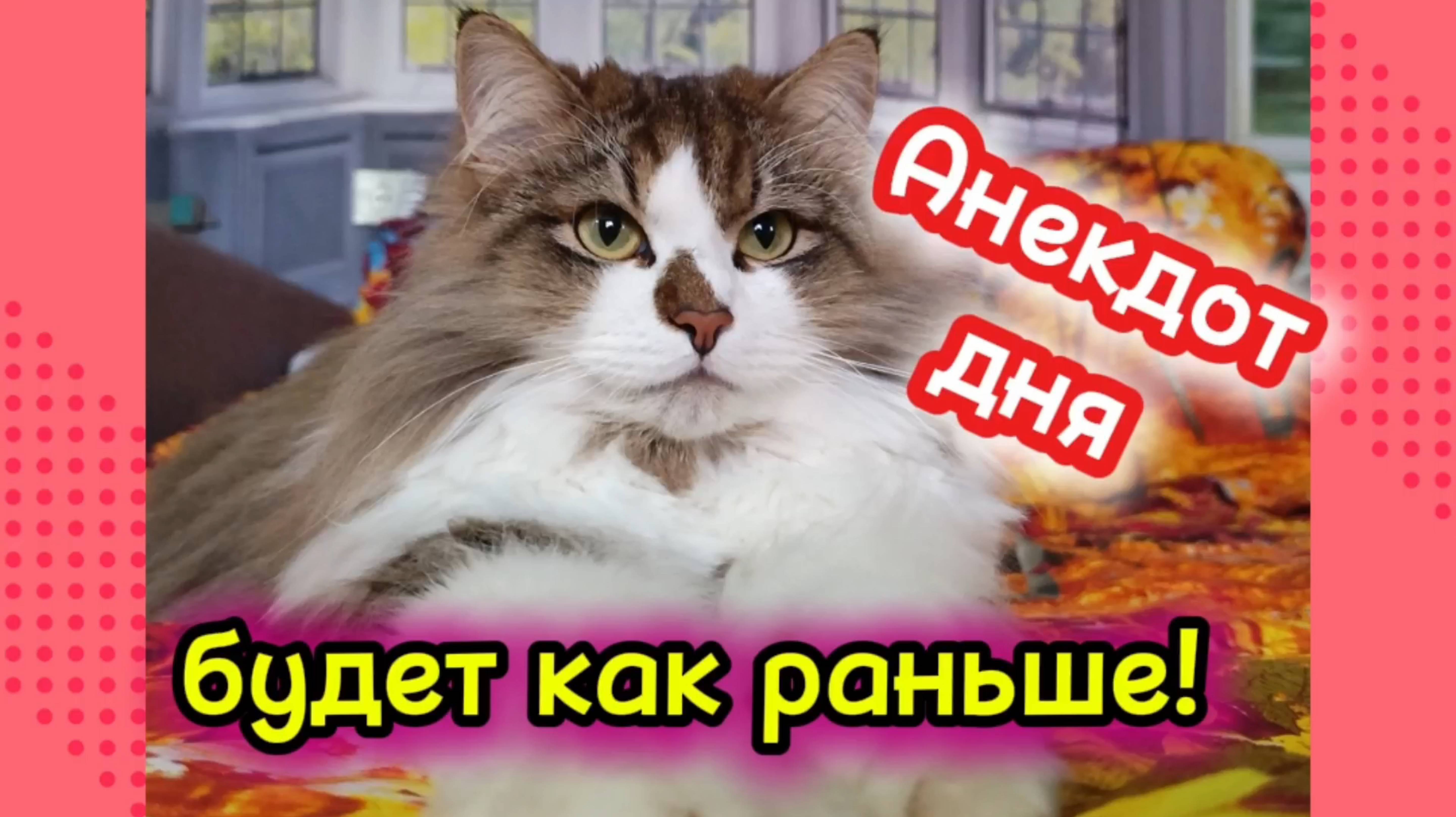 Анекдот дня. смотреть онлайн