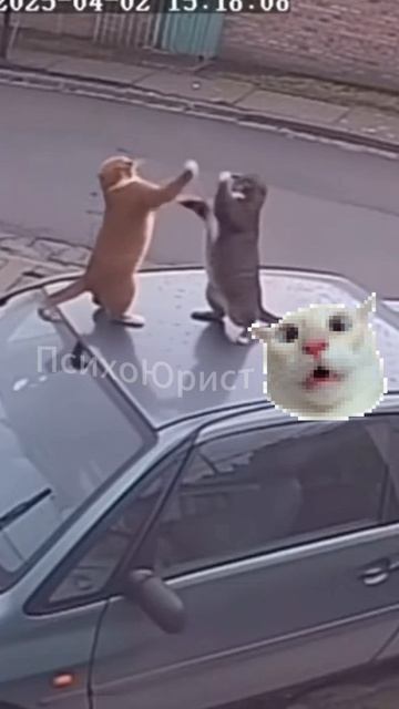 Веселые фейлы...